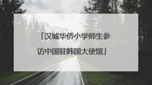 汉城华侨小学师生参访中国驻韩国大使馆
