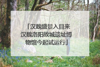 汉魏盛景入目来 汉魏洛阳故城遗址博物馆今起试运行