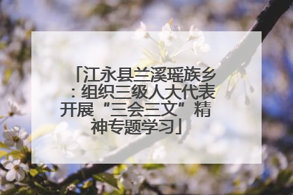 江永县兰溪瑶族乡：组织三级人大代表开展“三会三文”精神专题学习