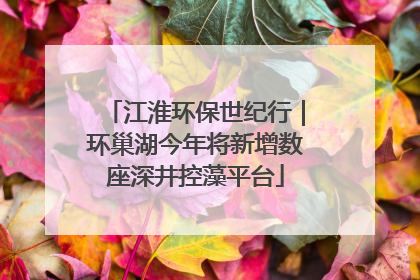 江淮环保世纪行｜环巢湖今年将新增数座深井控藻平台