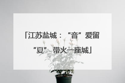 江苏盐城：“音”爱留“夏” 带火一座城