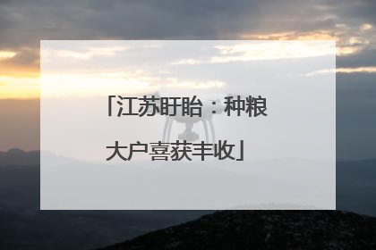 江苏盱眙：种粮大户喜获丰收