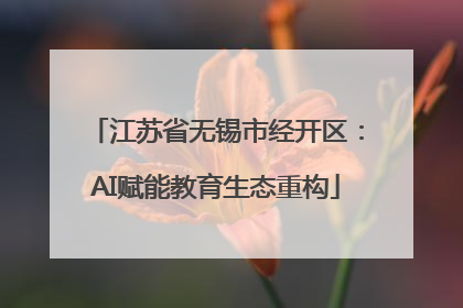 江苏省无锡市经开区：AI赋能教育生态重构