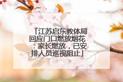 江苏启东教体局回应门口燃放烟花：家长燃放，已安排人员巡视阻止