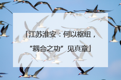 江苏淮安：何以枢纽，“耦合之功”见真章