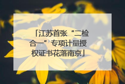 江苏首张“二检合一”专项计量授权证书花落南京