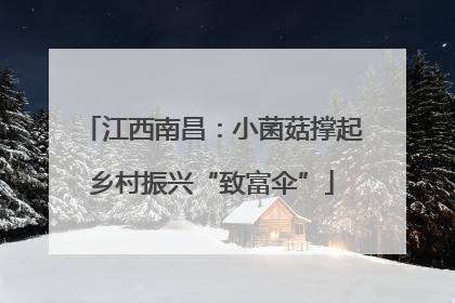 江西南昌：小菌菇撑起乡村振兴“致富伞”