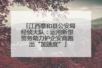 江西泰和县公安局经侦大队：运用新型警务助力护企安商跑出“加速度”
