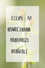 江西：早稻破口抽穗 统防统治防病虫