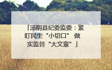 汤阴县纪委监委：紧盯民生“小切口” 做实监督“大文章”