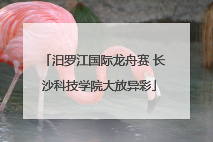 汨罗江国际龙舟赛 长沙科技学院大放异彩