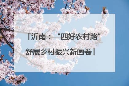 沂南：“四好农村路”舒展乡村振兴新画卷