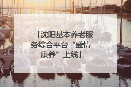 沈阳基本养老服务综合平台“盛情康养”上线