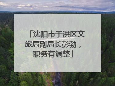 沈阳市于洪区文旅局副局长彭勃，职务有调整
