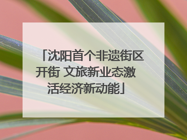 沈阳首个非遗街区开街 文旅新业态激活经济新动能