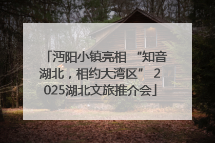 沔阳小镇亮相 “知音湖北，相约大湾区” 2025湖北文旅推介会