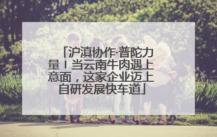 沪滇协作·普陀力量〡当云南牛肉遇上意面，这家企业迈上自研发展快车道