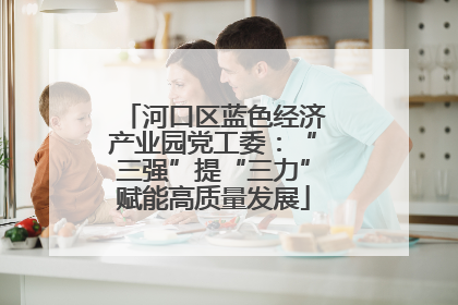 河口区蓝色经济产业园党工委：“三强”提“三力”赋能高质量发展