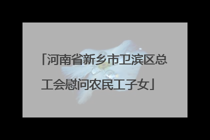 河南省新乡市卫滨区总工会慰问农民工子女