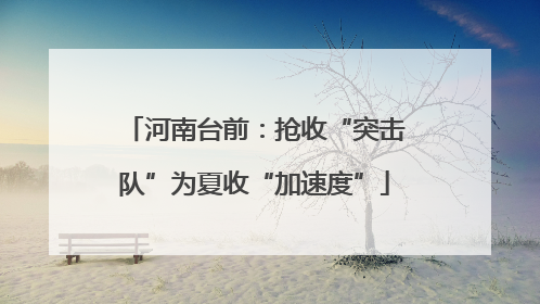 河南台前：抢收“突击队”为夏收“加速度”