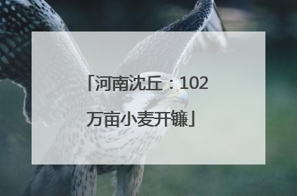 河南沈丘：102 万亩小麦开镰