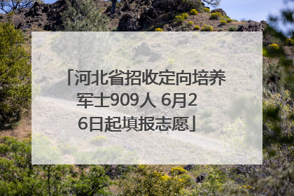 河北省招收定向培养军士909人 6月26日起填报志愿