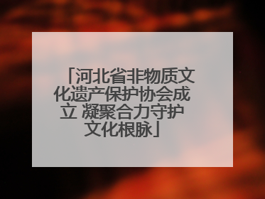 河北省非物质文化遗产保护协会成立 凝聚合力守护文化根脉