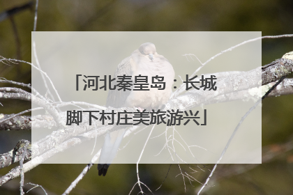河北秦皇岛：长城脚下村庄美旅游兴