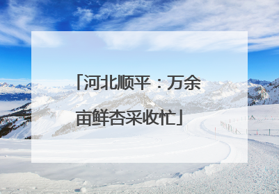 河北顺平：万余亩鲜杏采收忙