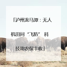泸州龙马潭：无人机田间“飞防” 科技助农保丰收
