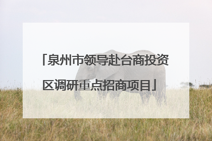 泉州市领导赴台商投资区调研重点招商项目