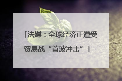 法媒：全球经济正遭受贸易战“首波冲击”
