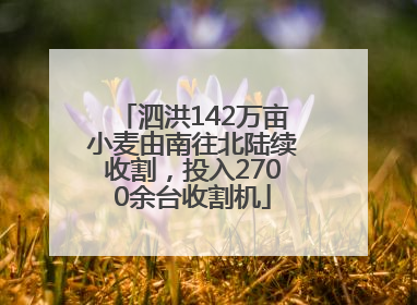 泗洪142万亩小麦由南往北陆续收割，投入2700余台收割机