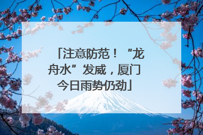 注意防范！“龙舟水”发威，厦门今日雨势仍劲