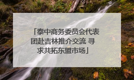 泰中商务委员会代表团赴吉林推介交流 寻求共拓东盟市场