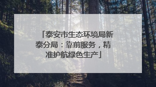 泰安市生态环境局新泰分局：靠前服务，精准护航绿色生产