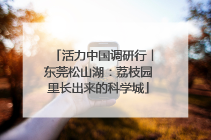 活力中国调研行丨东莞松山湖：荔枝园里长出来的科学城