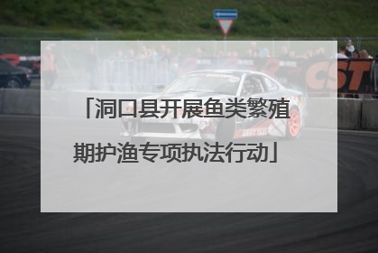洞口县开展鱼类繁殖期护渔专项执法行动