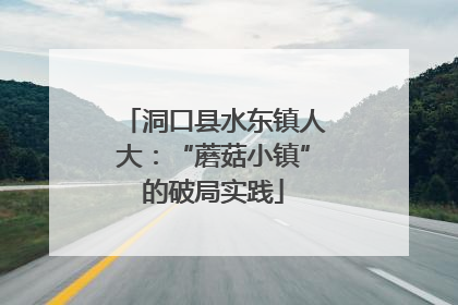 洞口县水东镇人大：“蘑菇小镇”的破局实践