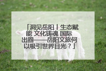 洞见岳阳丨生态赋能 文化铸魂 国际出圈——岳阳文旅何以吸引世界目光？