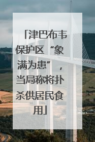 津巴布韦保护区“象满为患”，当局称将扑杀供居民食用