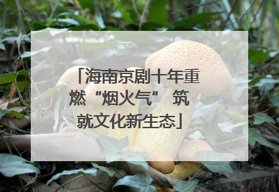 海南京剧十年重燃“烟火气” 筑就文化新生态