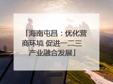 海南屯昌：优化营商环境 促进一二三产业融合发展