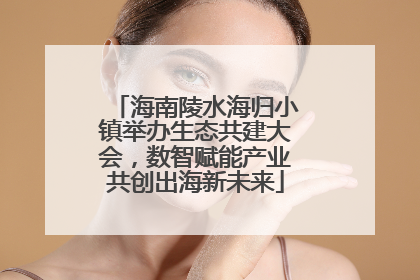 海南陵水海归小镇举办生态共建大会，数智赋能产业共创出海新未来