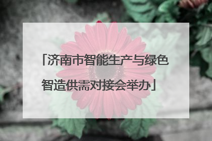 济南市智能生产与绿色智造供需对接会举办