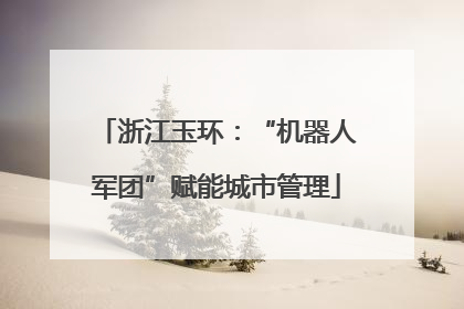 浙江玉环：“机器人军团”赋能城市管理