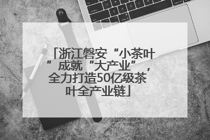 浙江磐安“小茶叶”成就“大产业”，全力打造50亿级茶叶全产业链