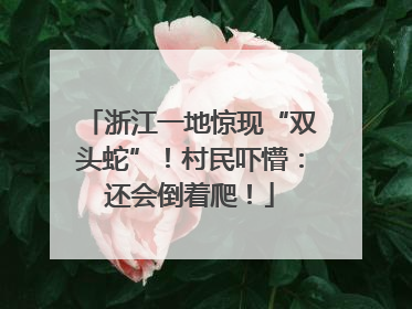 浙江一地惊现“双头蛇”！村民吓懵：还会倒着爬！