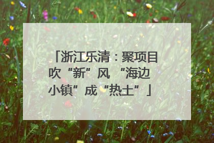浙江乐清：聚项目吹“新”风 “海边小镇”成“热土”