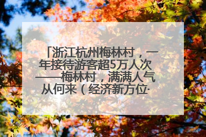 浙江杭州梅林村，一年接待游客超5万人次——梅林村，满满人气从何来（经济新方位·农村消费观察）